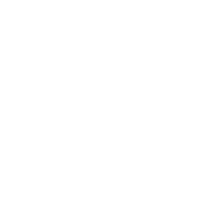 다중 형식 지원